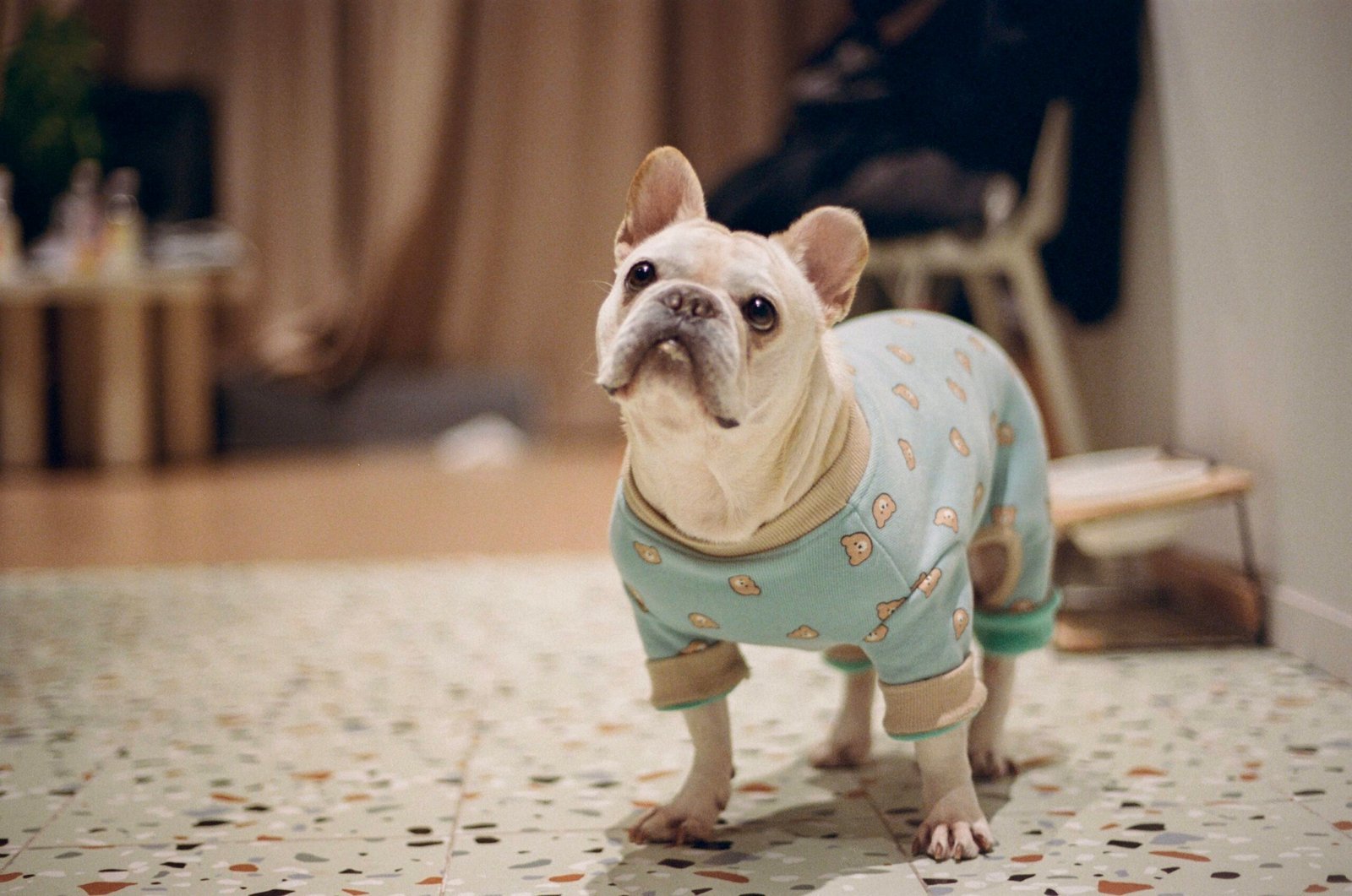 Video Collaborators 3