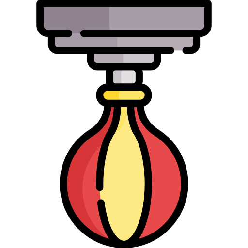 Speed Bags